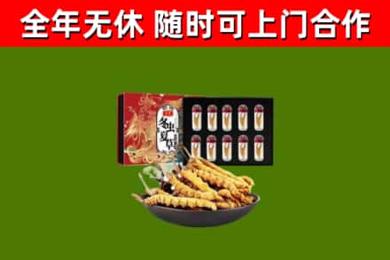 薛城回收冬虫夏草价格