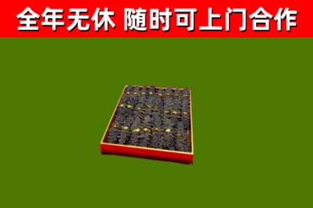 薛城回收海参